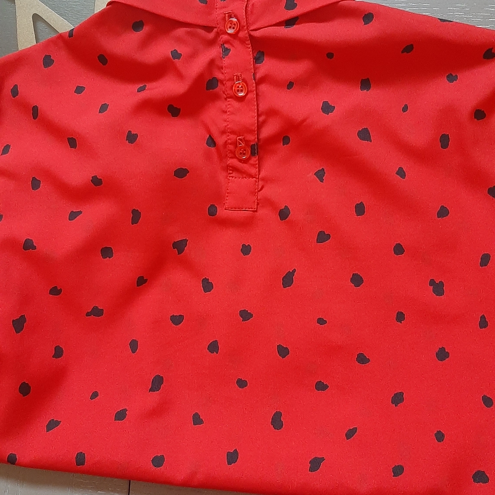 Red and Black Pleated Skirt Set - Picture 12 of 13